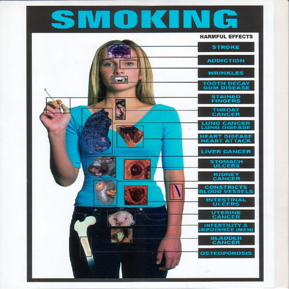 Effects of smoking pmr essay